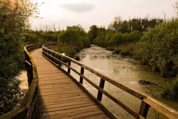 Fließtalbrücke